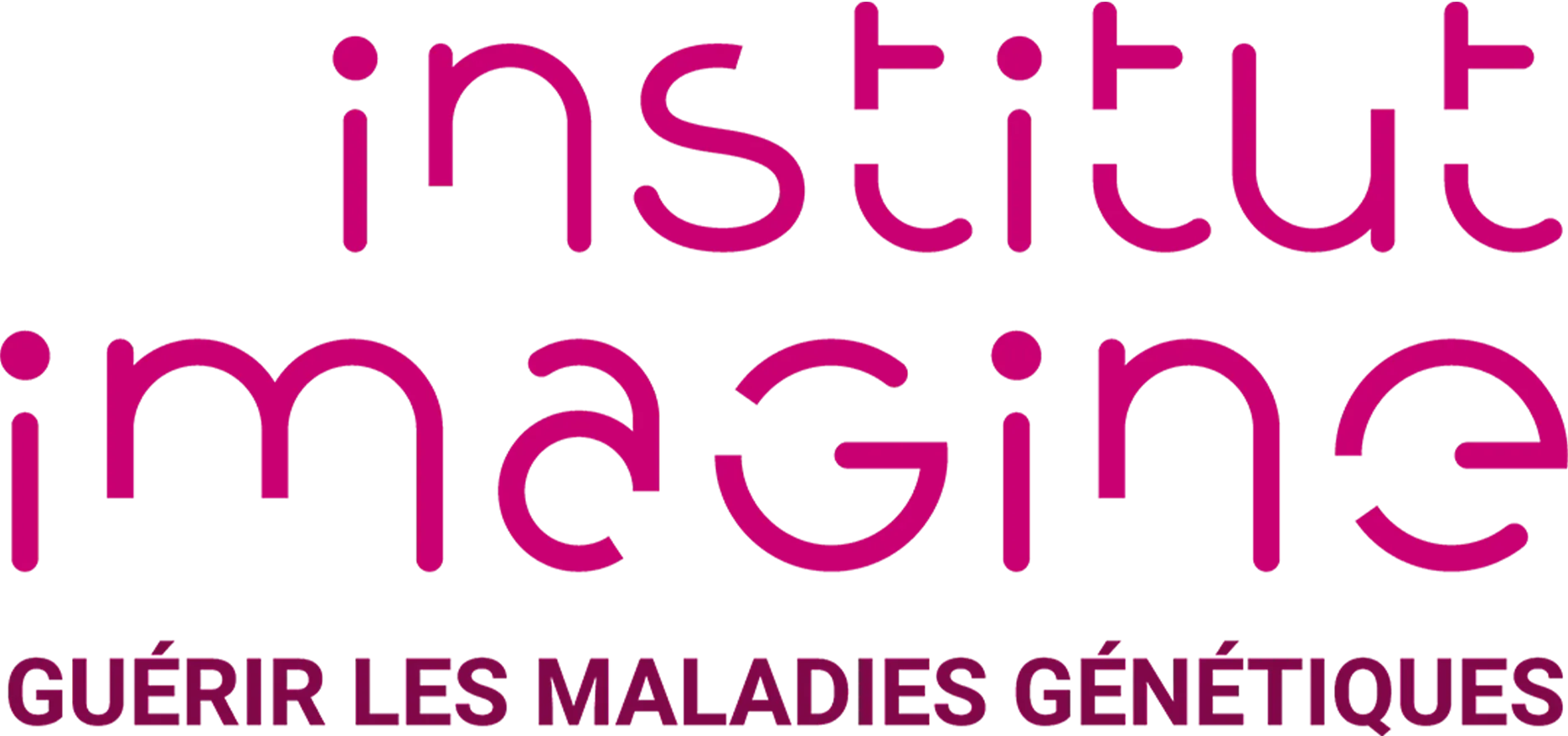 Logo Institut Imagine
